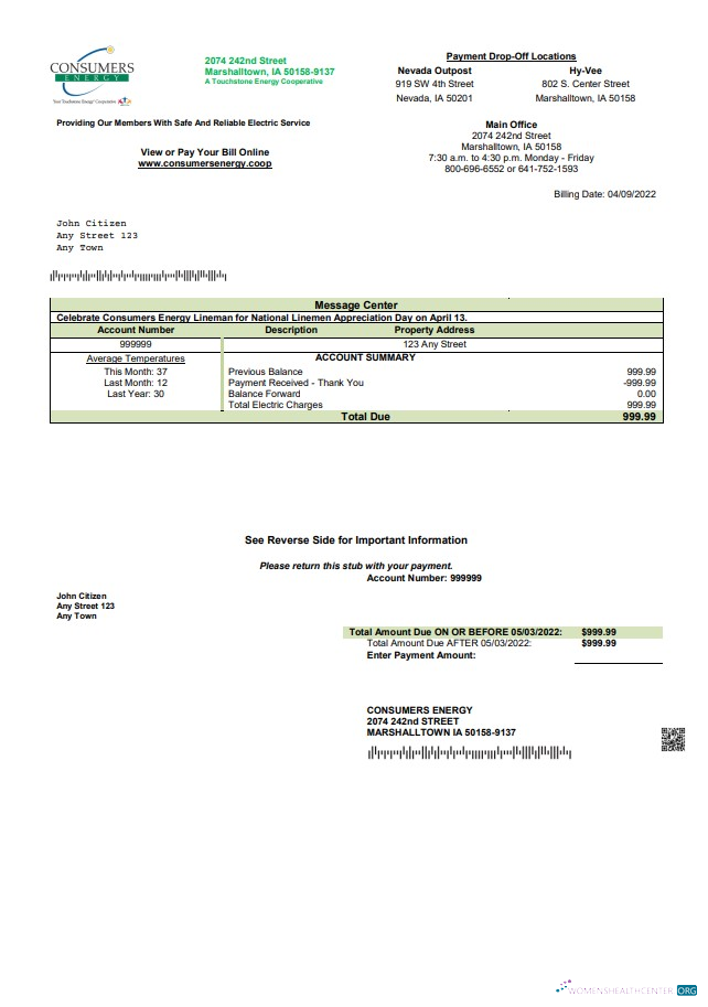 download download USA Consumers Energy utility bill template in Word and PDF format PDF template PDF template